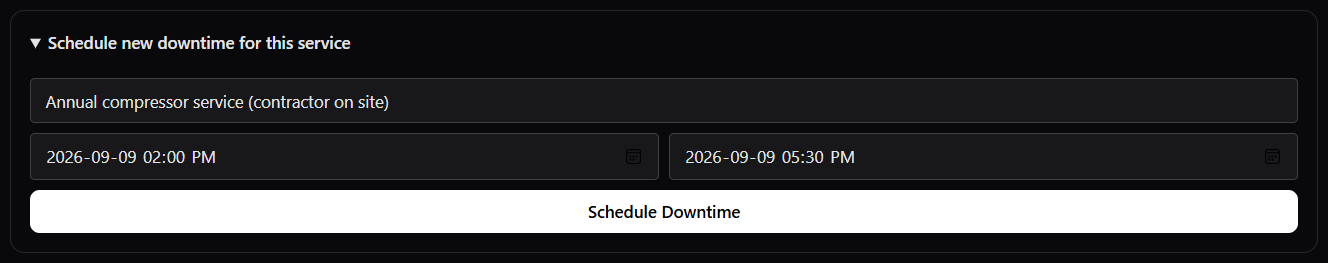 Schedule new downtime form